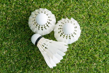 Beyaz raketle çimenlerin üzerinde