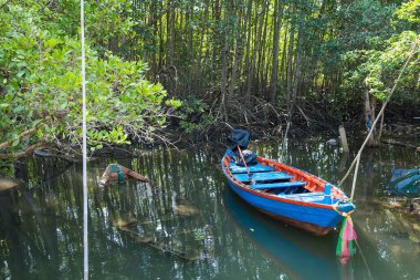 Serene Lagoon Sahnesi: Bereketli mangrov ağaçları ve doğanın huzur dolu kucaklamalarıyla çevrili tropikal bir gölün sakin sularında dingin mavi bir tekne huzur içinde yatıyor..