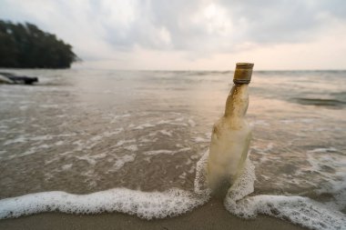 Plajda bir şişe içinde mesaj: esrarengiz bir mesaj taşıyan yıpranmış cam bir şişe, kumlu bir sahilde kıyıya vurur. Dalgalar nazikçe okşar, okyanus boyunca bir yolculuğa işaret eder..