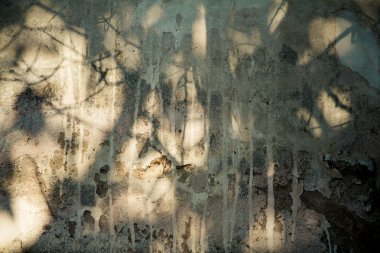 Duvardaki su işaretleri