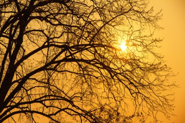 Akşam günbatımı Tayland