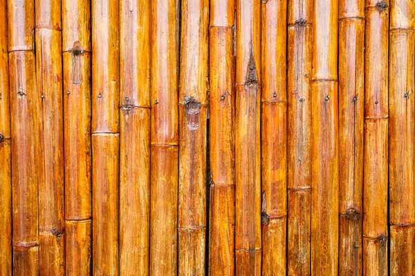 Стіни з бамбукових стебел . — стокове фото