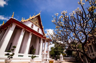 Mavi gökyüzü üzerinde Beyaz Tapınak.