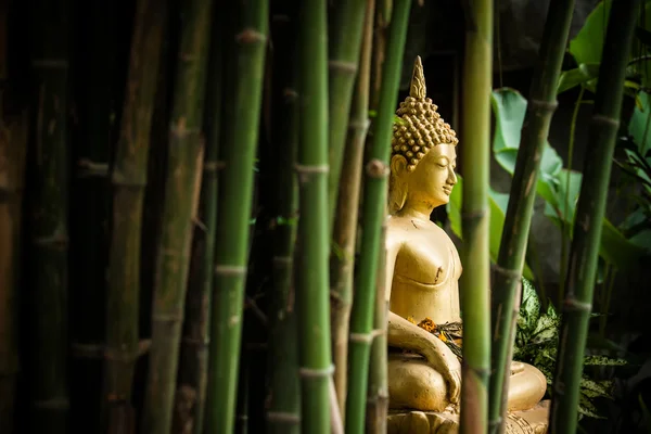 Goldener Buddha im Garten. — Stockfoto