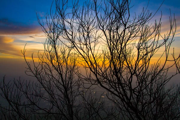 Silhueta de galhos de árvore secados com céu ao entardecer . — Fotografia de Stock
