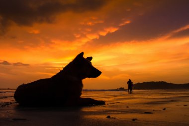 Deniz ve akşam Island renkli gökyüzü.