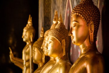 Bir tapınak Tayland altın Buddha