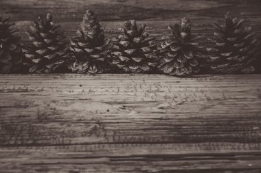 çam fıstığı ahşap tablo