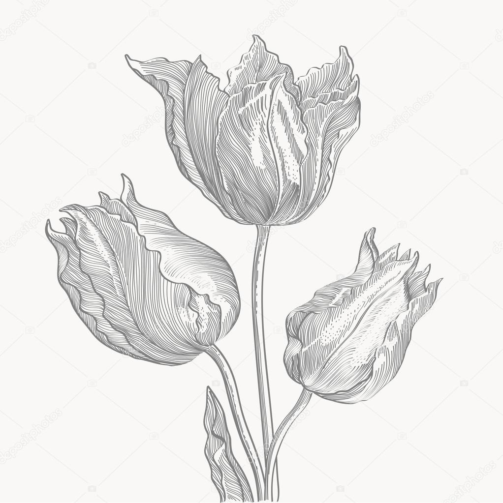 Engraved tulips