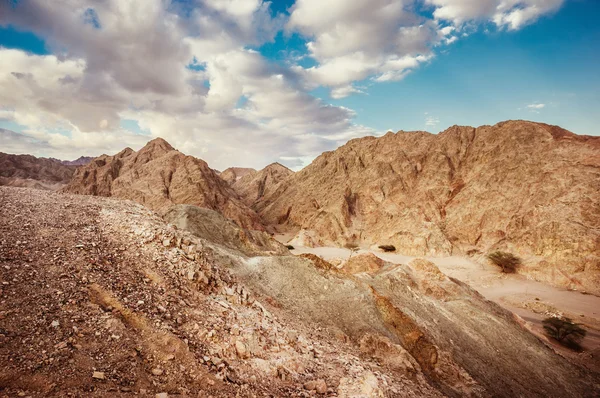 Paisagem do deserto — Fotografia de Stock