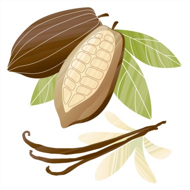 Cacao beans and vanilla pods illustration clipart