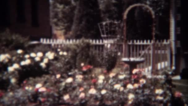 Frau gärtnert Rosenblumen im Vorgarten — Stockvideo