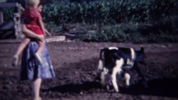 Мама ребенок приближается фермы теленка — стоковое видео