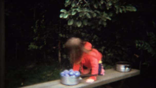 Girl picking plums from tree in pots — Stock Video