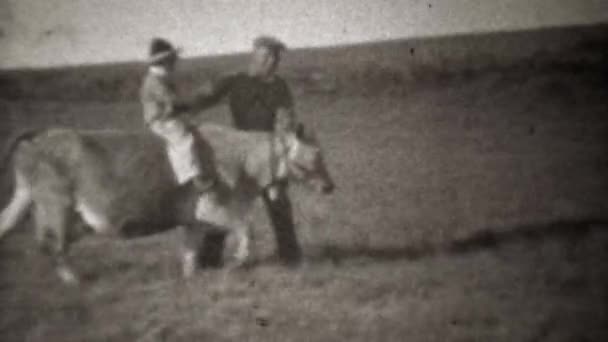 Niño montando granja vaca con padre — Vídeos de Stock