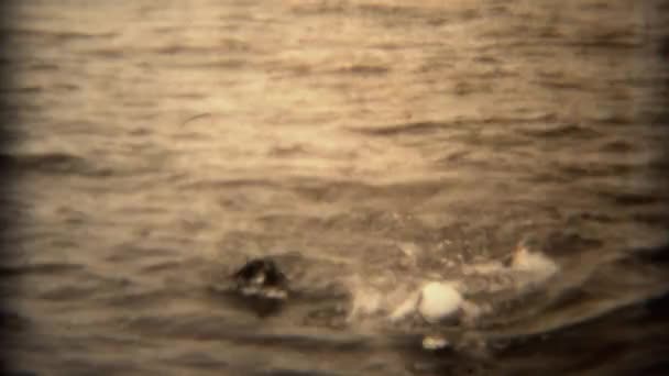 Mujer en gorra de natación y perro nadando juntos — Vídeos de Stock