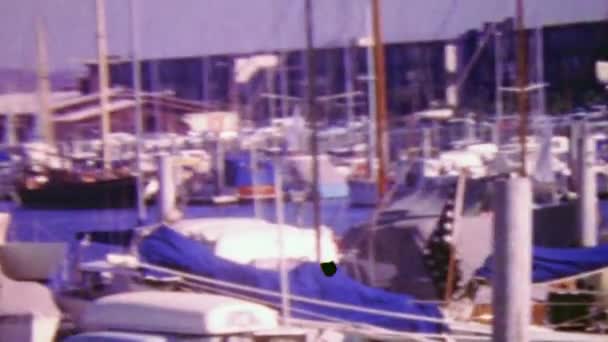 Båthavn med seilbåtyachter i havn – stockvideo