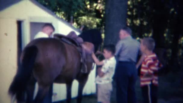 Familjen förbereder vilda nervös häst — Stockvideo