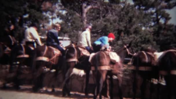 Oma zorgvuldig afstappen paard na reis — Stockvideo