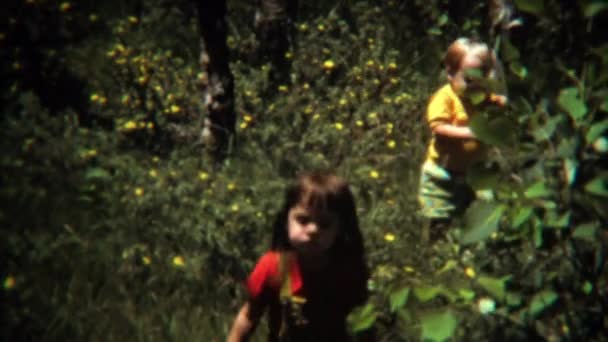 Dzieci spaceru w lesie wczesnym latem — Wideo stockowe