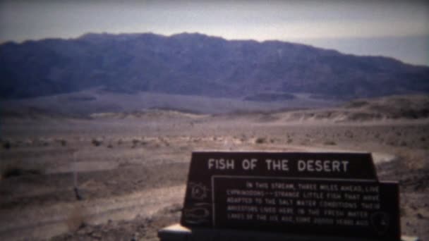 Pesce del Deserto segno e acqua del fiume — Video Stock