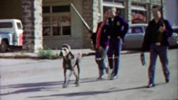 Boys walking dog in parade — Stock Video