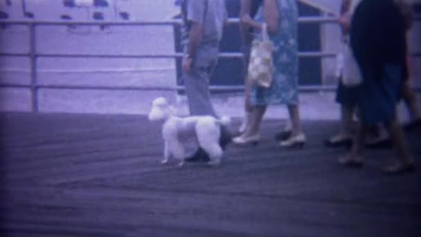 Pudel spaceru promenadą ciągnącą się wzdłuż plaży oceanu — Wideo stockowe