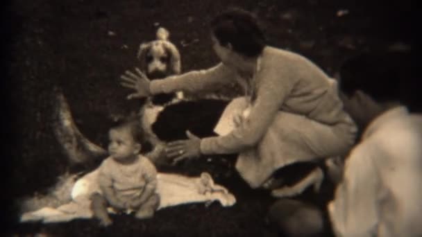 Μαμά κλείδωμα προστασία μωρών από αγωνίζονται σκυλιά — Αρχείο Βίντεο