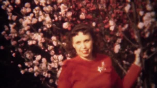 Signora in primavera fiori di albero in fiore — Video Stock