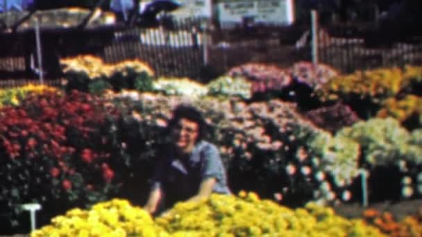 Mujer jardinero cuidando jardín de flores — Vídeos de Stock