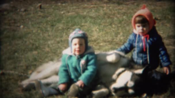 Kids sitting on family dog — Stock Video