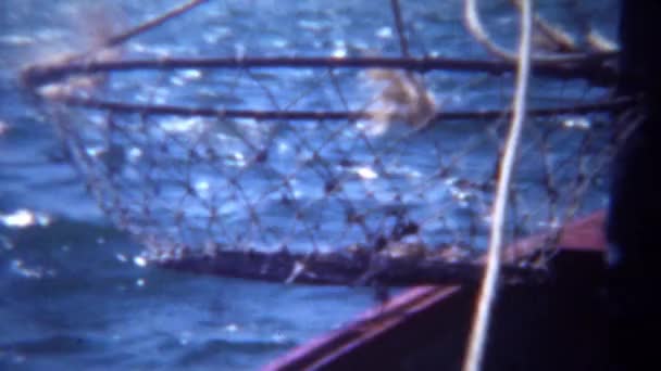 Дунгенесский краб ловит сеть с лодки — стоковое видео