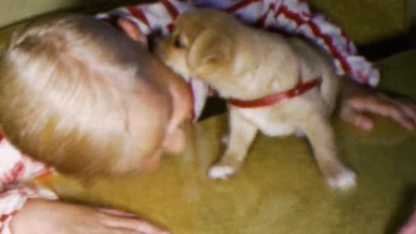 Boy plays, hugs and kisses with puppy — Stock Video