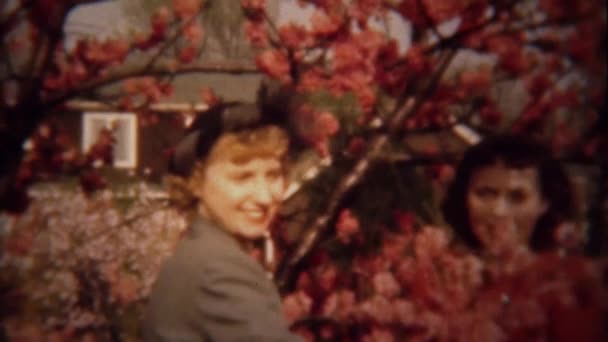 Mujer near florecientes flores de árboles — Vídeo de stock