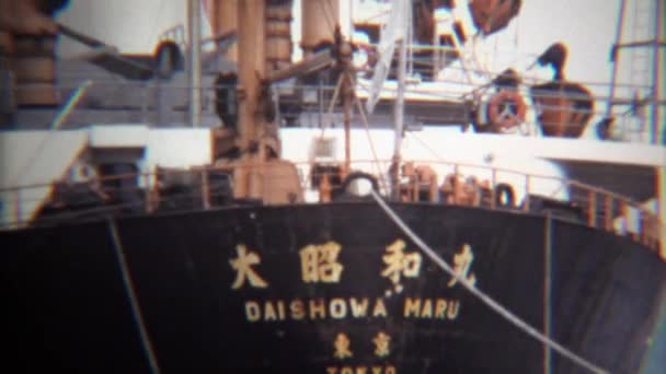 Tokyo endüstriyel kargo gemisi — Stok video