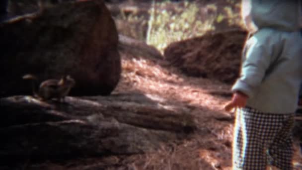 Dítě hraje s veverkou v lese venkovní — Stock video