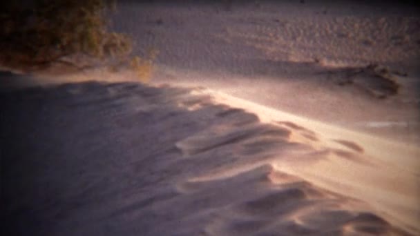 Polvere soffiando via la cima della duna di sabbia — Video Stock