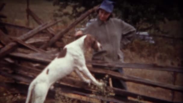 Woman petting shorthaired hunting dog — Stock Video