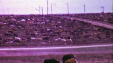 İnek Fabrika Çiftlik tarayıcılar hayvanlarda çitle çevrili.