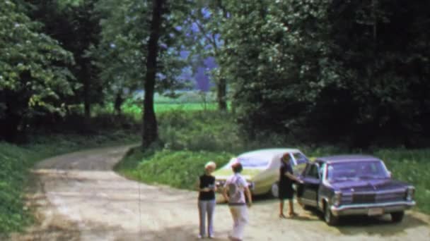 Kırsal otopark ile klasik arabalar — Stok video