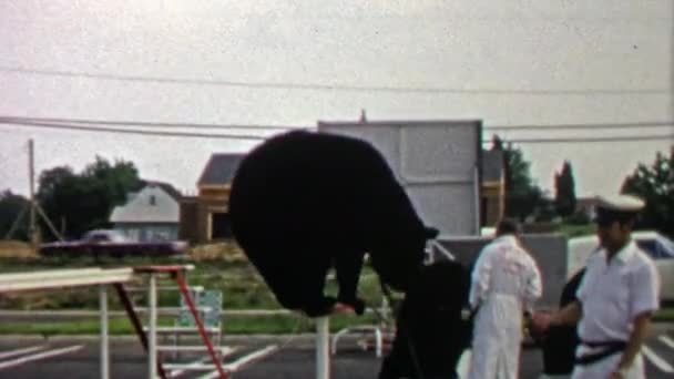 Showboat niedźwiedź stoi na cokole małe — Wideo stockowe