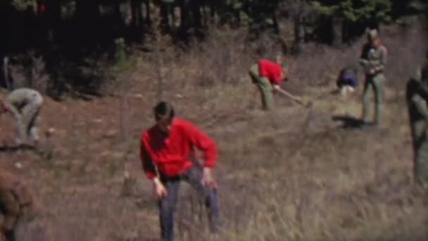Boy scouts reforestation planting trees in forest — Stock Video