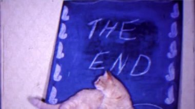 Kedi bir ev yapımı The End işaret modelleri