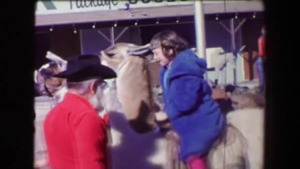 Donna ottenere su Lama e equitazione — Video Stock