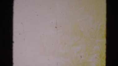 bitkiler bir park arazi dolu