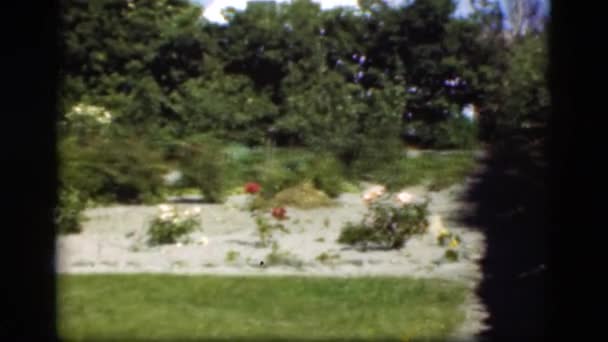 빈 자연 정원 — 비디오