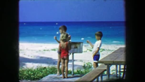 Enfants rôtissant des guimauves sur la plage — Video