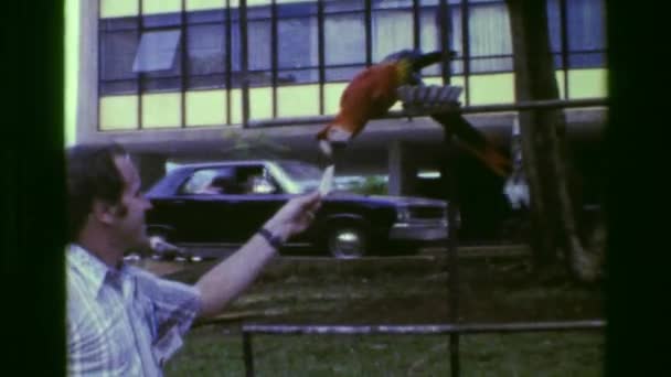 Людина годування папуга крекери — стокове відео