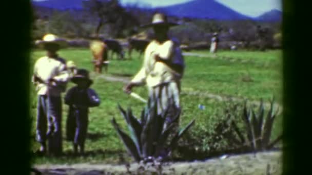 Hjemmehørende familie som arbeider utendørs på landet – stockvideo
