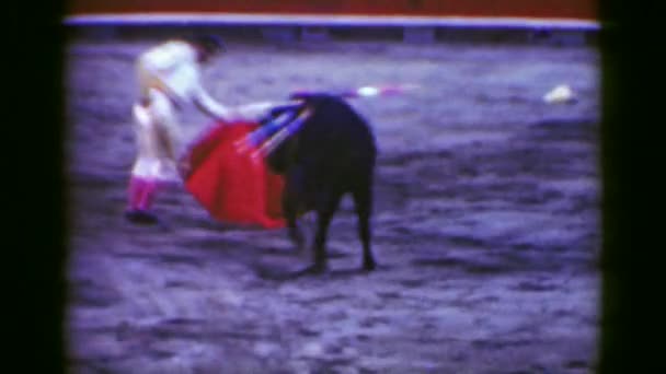 Torero bullfighter menggoda banteng — Stok Video